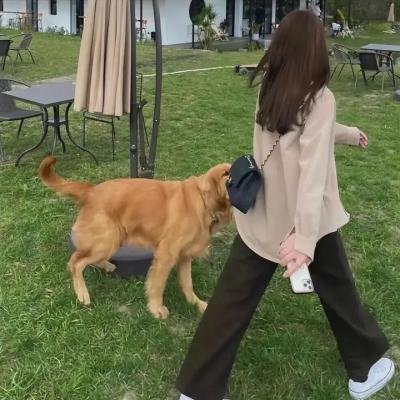 牢笼之热