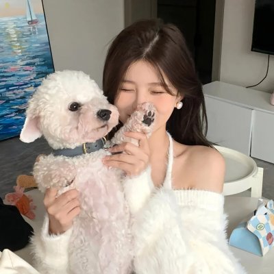 火鸟的沼泽